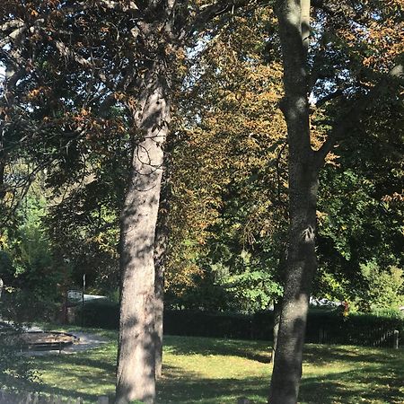 バンネヴィッツDomizil Eutschuetzgruenアパートメント エクステリア 写真